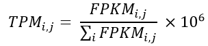 TPM_equation